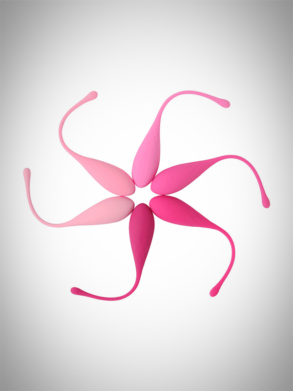 LESLIE - KEGEL FIT 6 PCS