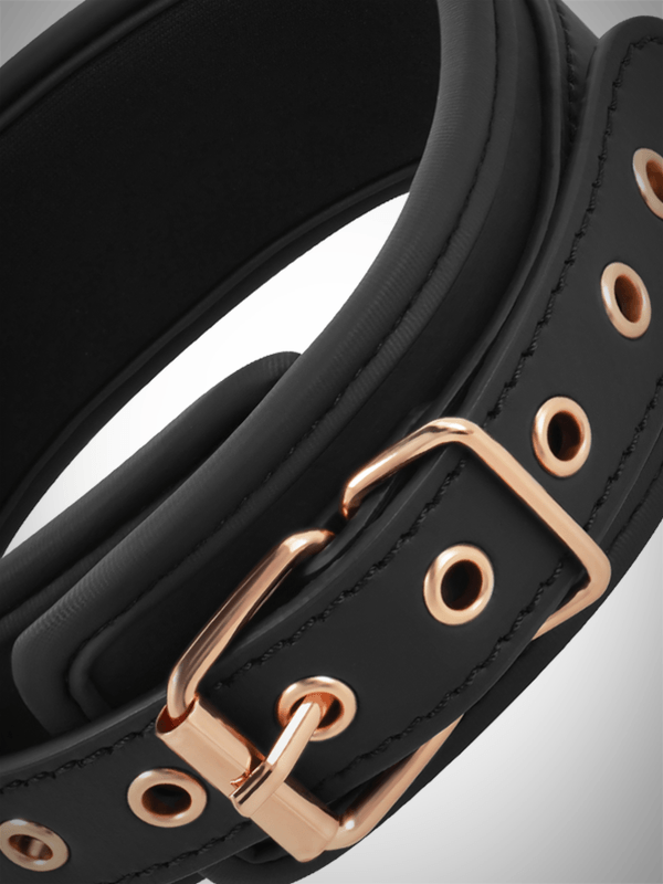 COQUETTE - Collier & Laisse Végan