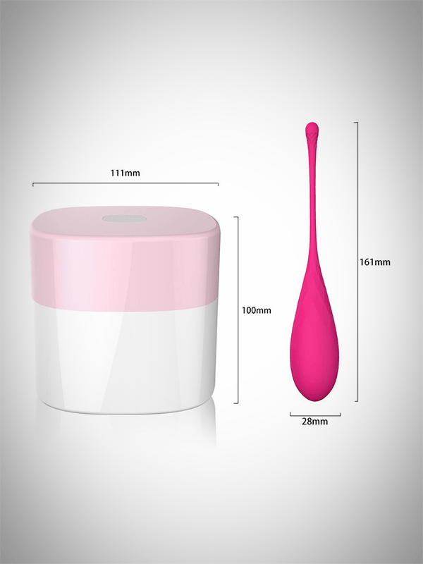 LESLIE - KEGEL FIT 6 PCS